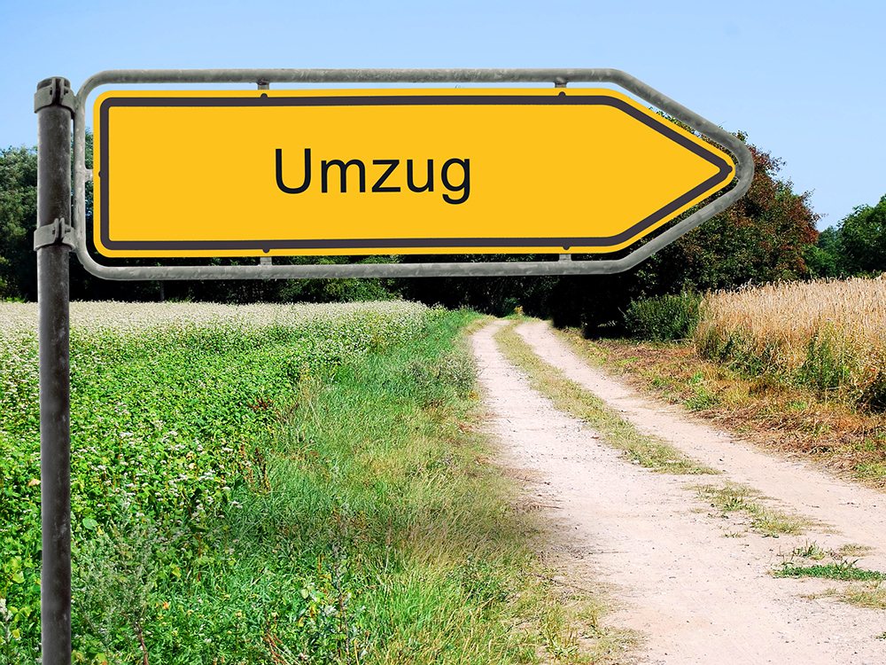 Ausgabe 5/17: Bundesverwaltung in die Bundesländer?