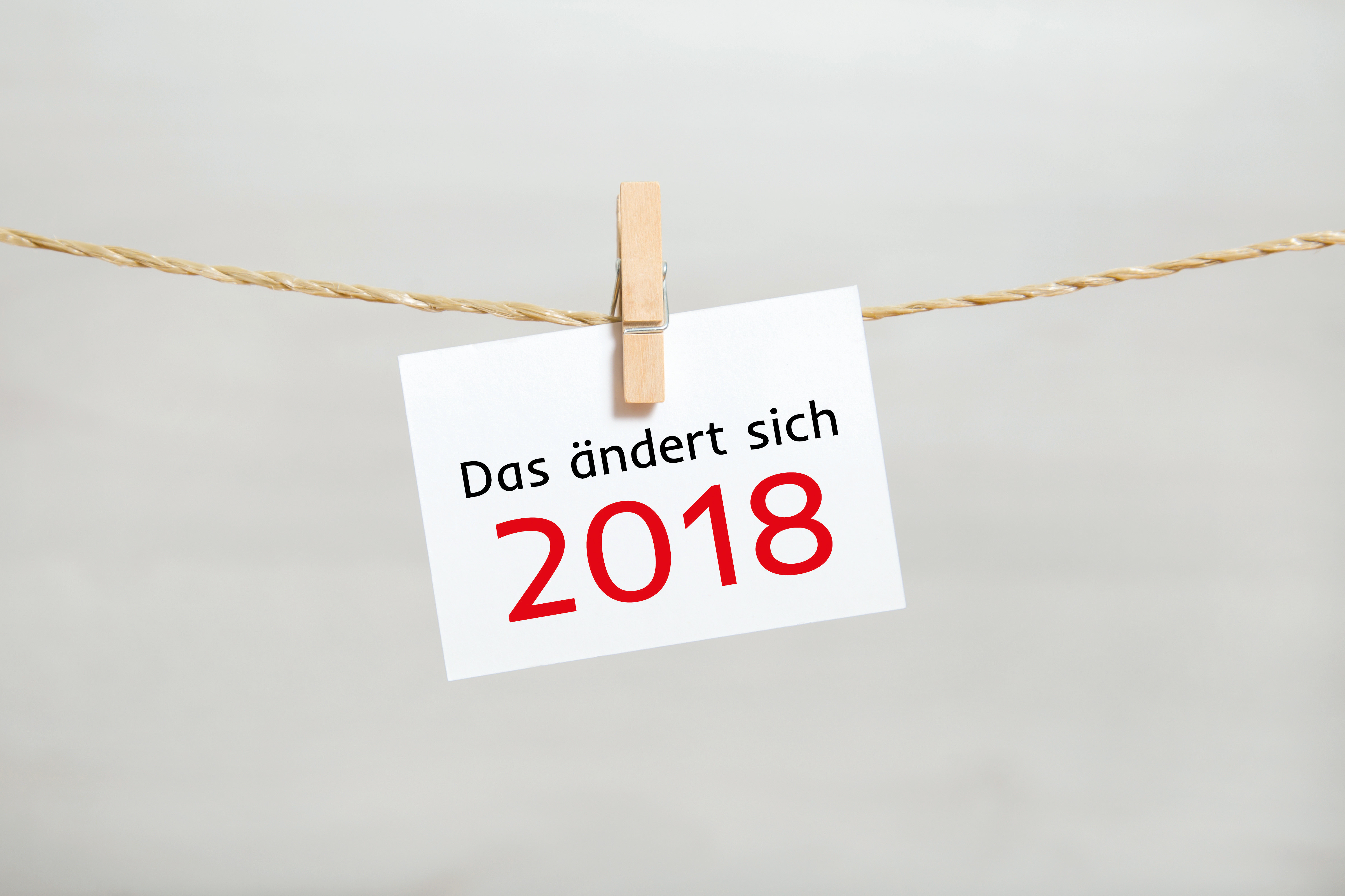 Ausgabe 1-2/18: Was bringt das neue Jahr?