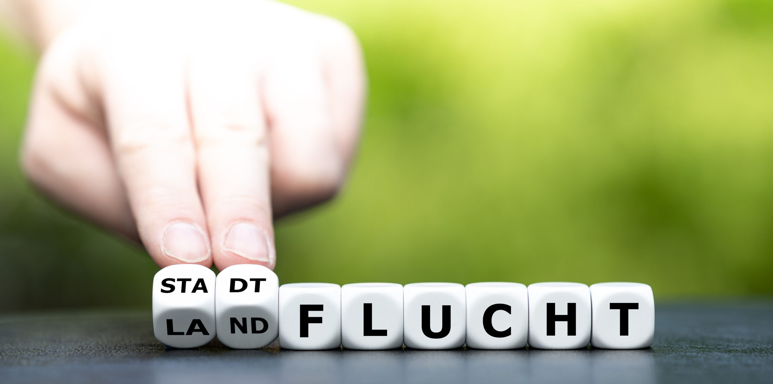 Ausgabe 12/21: Die Zukunft unserer Städte