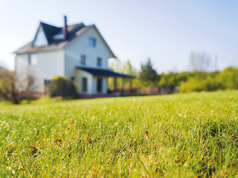 Ausgabe 03/22: Die neue Sehnsucht nach dem Landleben