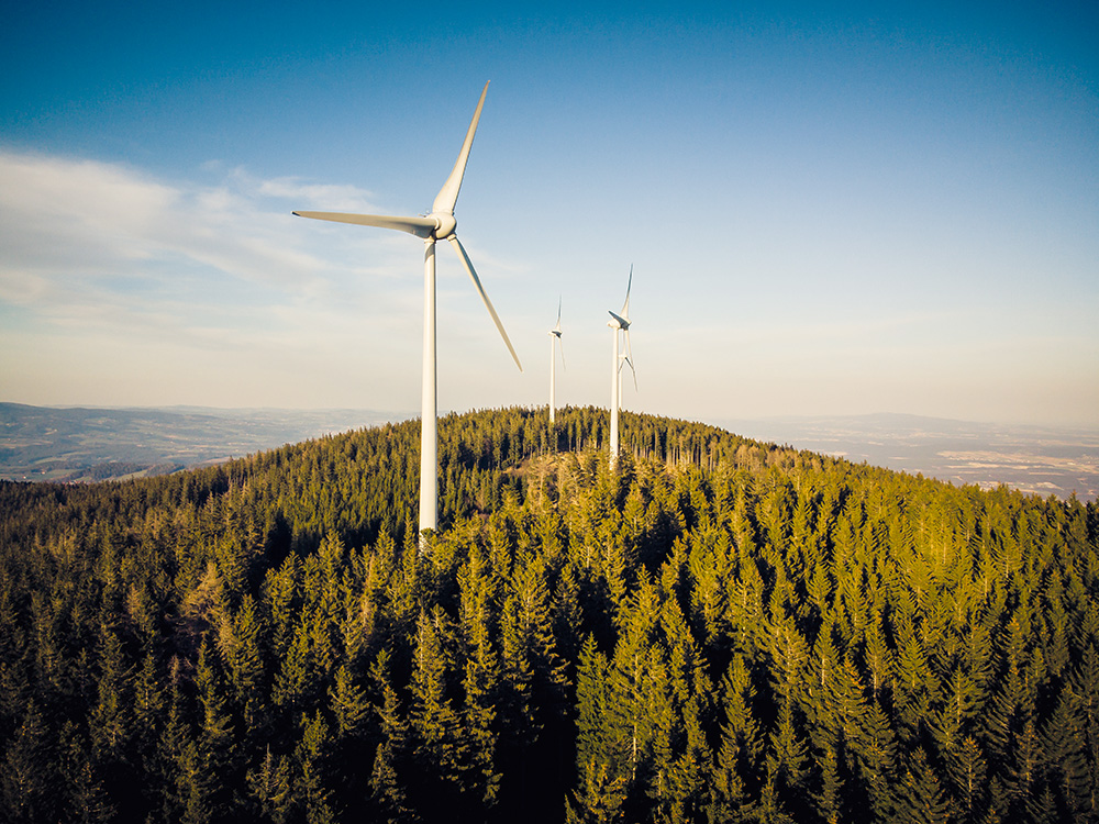 Ausgabe 05/26: Windkraft voraus!